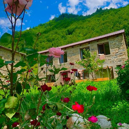 River Side Svaneti ميستيا المظهر الخارجي الصورة