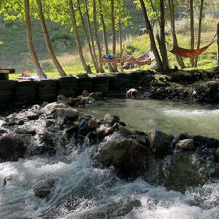 River Side Svaneti ميستيا المظهر الخارجي الصورة