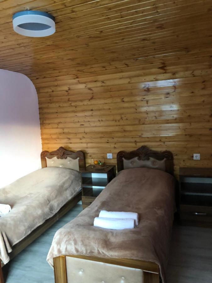 River Side Svaneti ميستيا المظهر الخارجي الصورة