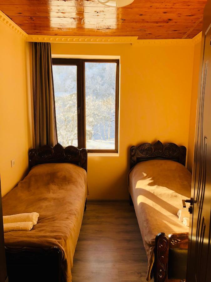 River Side Svaneti ميستيا المظهر الخارجي الصورة