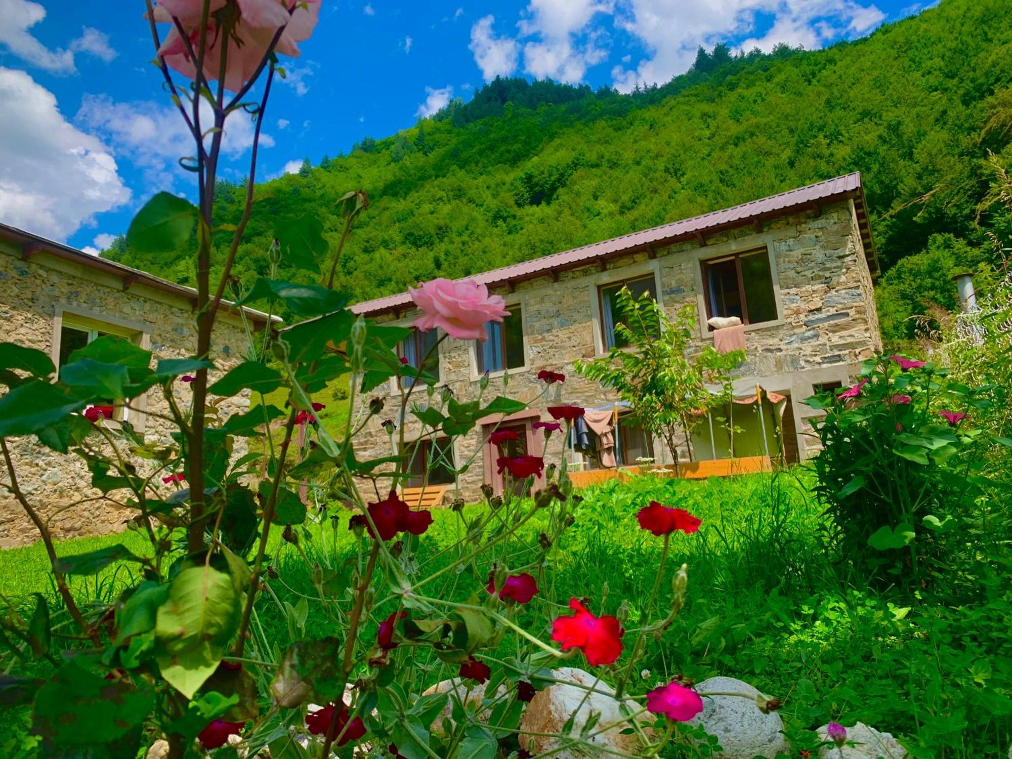 River Side Svaneti ميستيا المظهر الخارجي الصورة