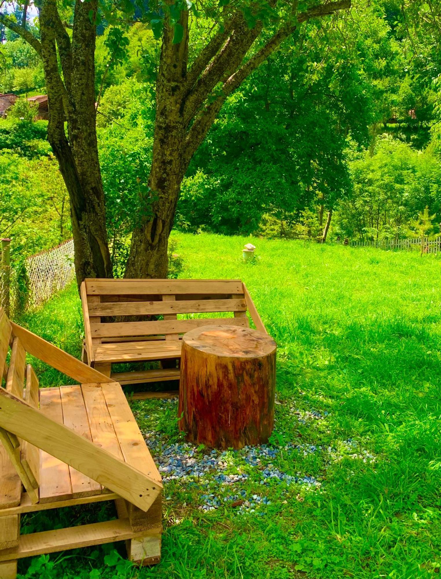 River Side Svaneti ميستيا المظهر الخارجي الصورة