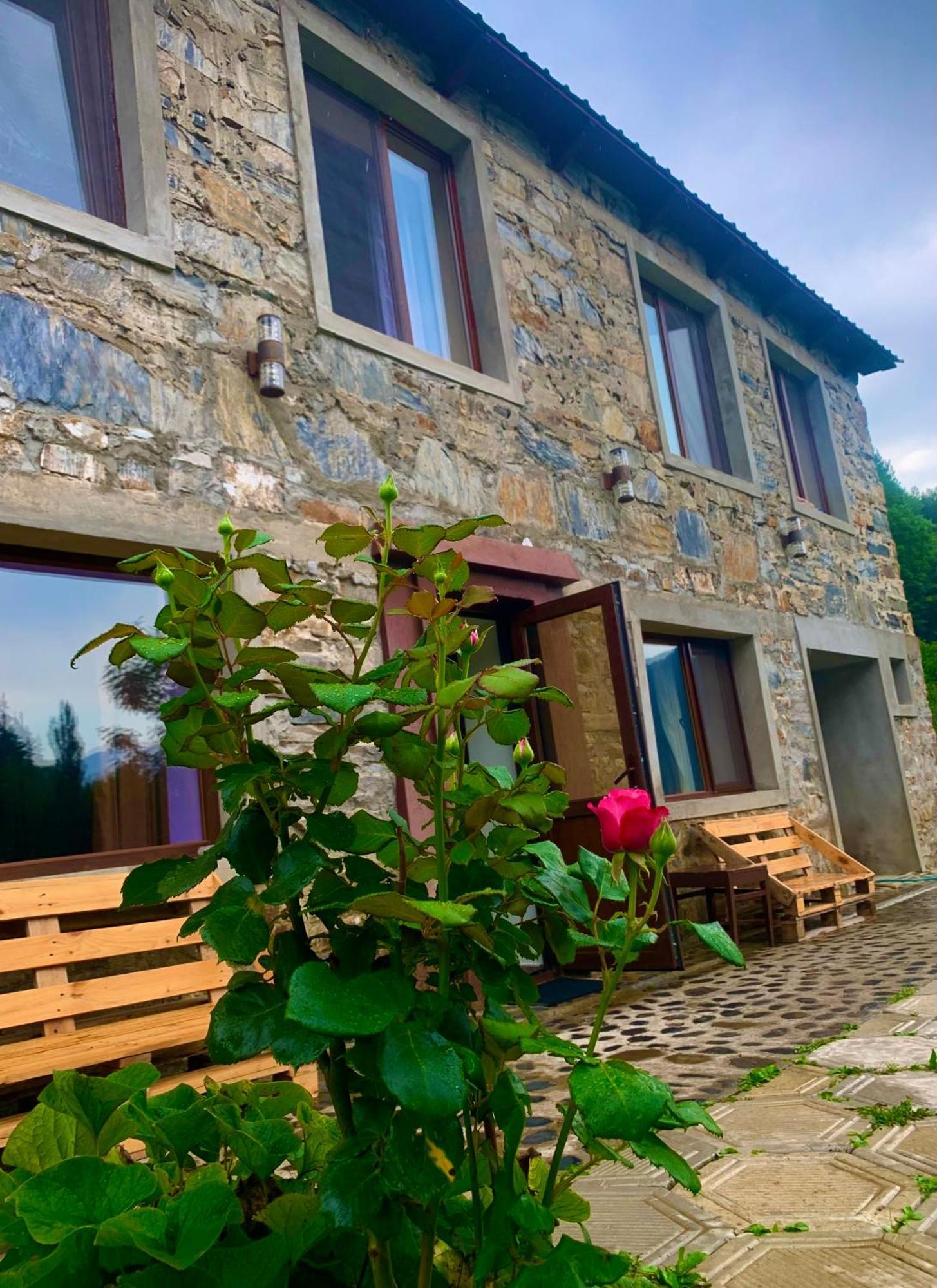 River Side Svaneti ميستيا المظهر الخارجي الصورة