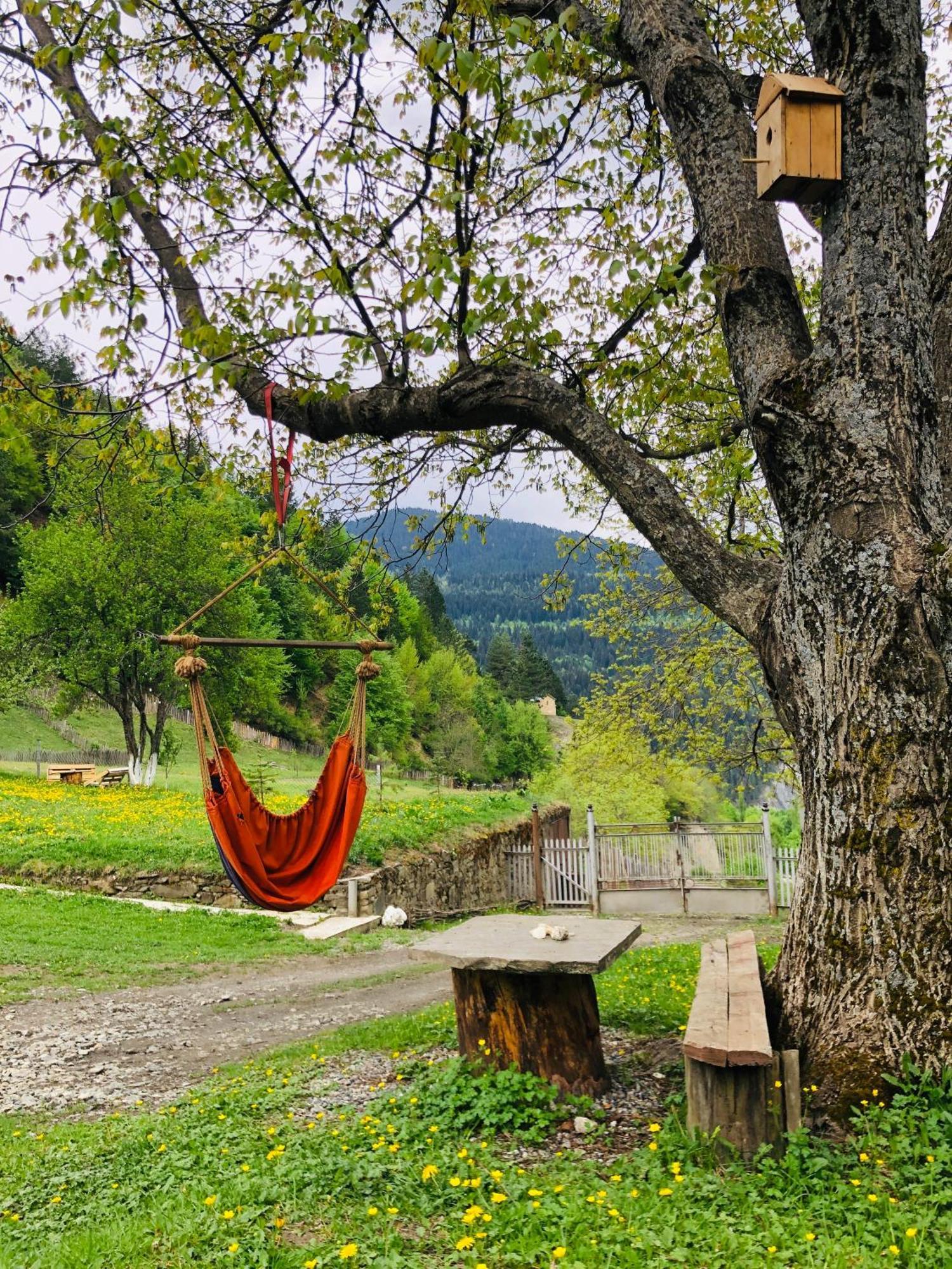 River Side Svaneti ميستيا المظهر الخارجي الصورة