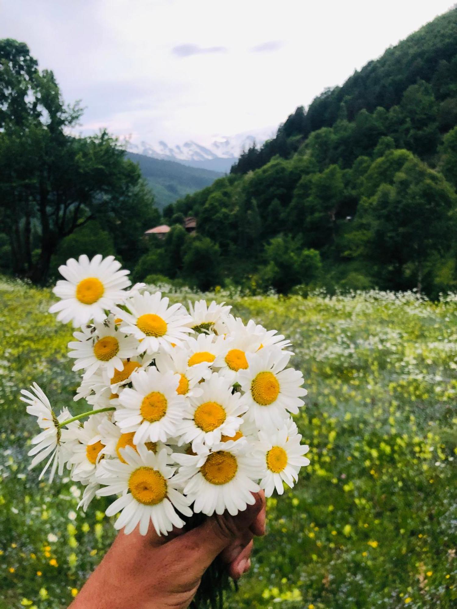 River Side Svaneti ميستيا المظهر الخارجي الصورة